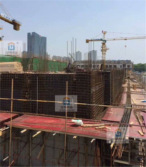 金亨木業有限公司建筑模板