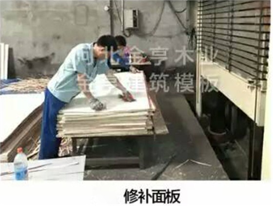 金亨木業有限公司建筑模板