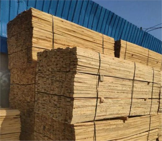 微信截圖_20230424093224