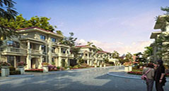 金亨木業建筑模板--石家莊碧桂園項目