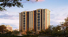 金亨木業建筑模板--沈陽保利海德公園項目