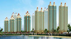 金亨木業建筑模板--石家莊恒大御景半島項目