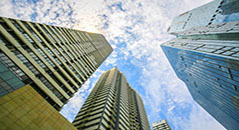 金亨木業建筑模板--江蘇南通三建項目