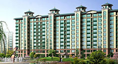 金亨木業(yè)建筑模板--濟(jì)南恒大綠洲項(xiàng)目