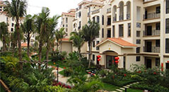 金亨木業(yè)建筑模板--儋州中南西海岸