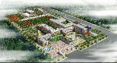 金亨木業建筑模板--濱河小學工程