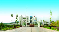 金亨木業建筑模板--廣東火電項目